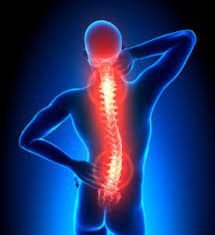 Xray model of spine